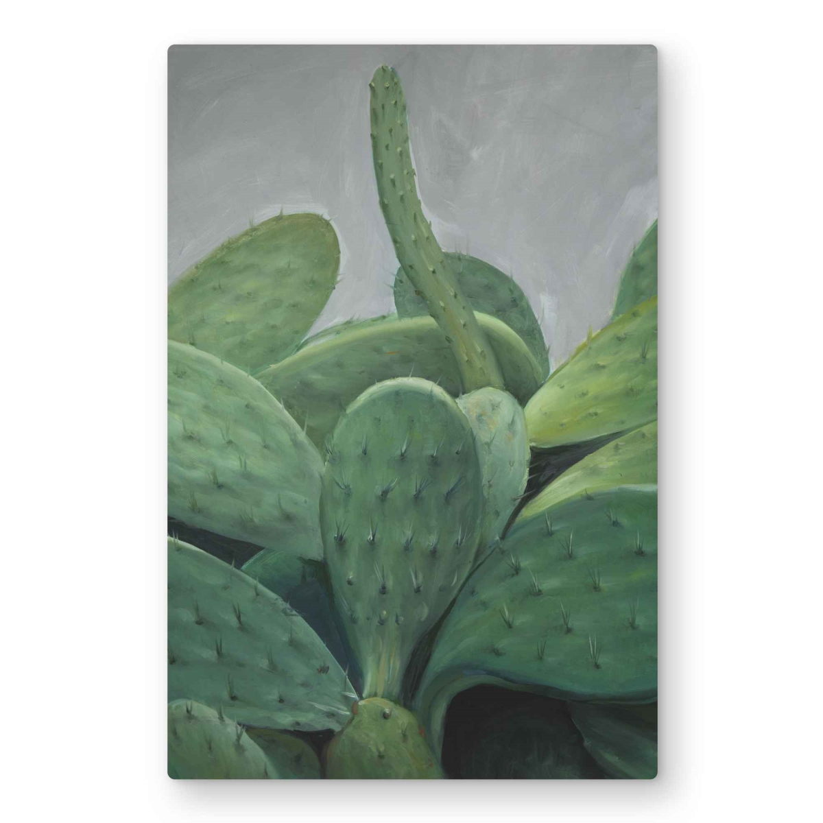 C1MP2030G1S262 20 x 30 in. Cactus Bundle - Botanical Green Metal Print Wall Art for Home Decor