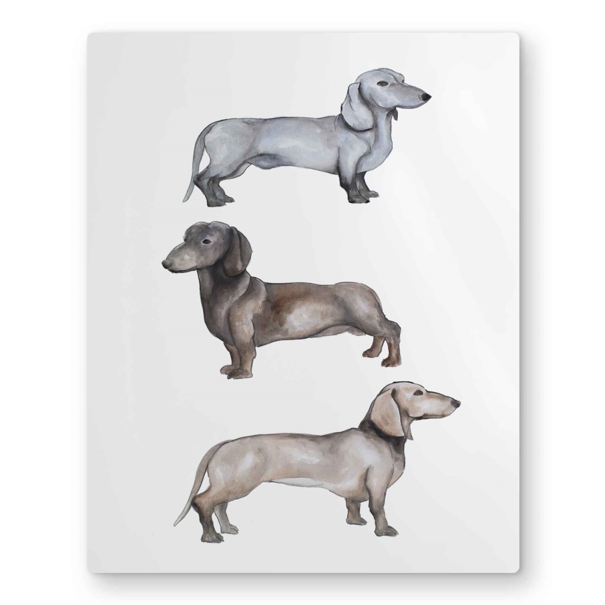 C1MP1620DFIX6Z 16 x 20 in. Dachshund Dogs Metal Print Wall Art - Unique Home Decor Artwork
