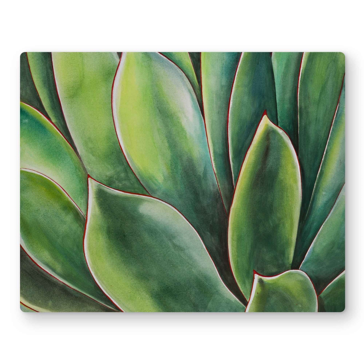 C1MP1620ELHDOZ 16 x 20 in. Watercolor Agave Plant Wall Art - Livingroom Leaves Metal Print Decor
