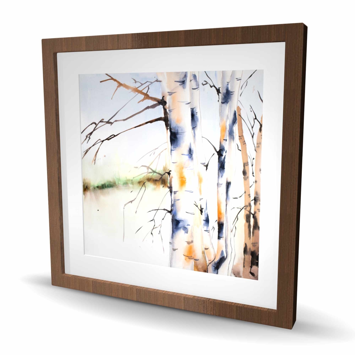 C1FM2424HL04VB 24 x 24 in. Birchs Trunks - Trees Office Framed Matted Print Wall Art for Decor