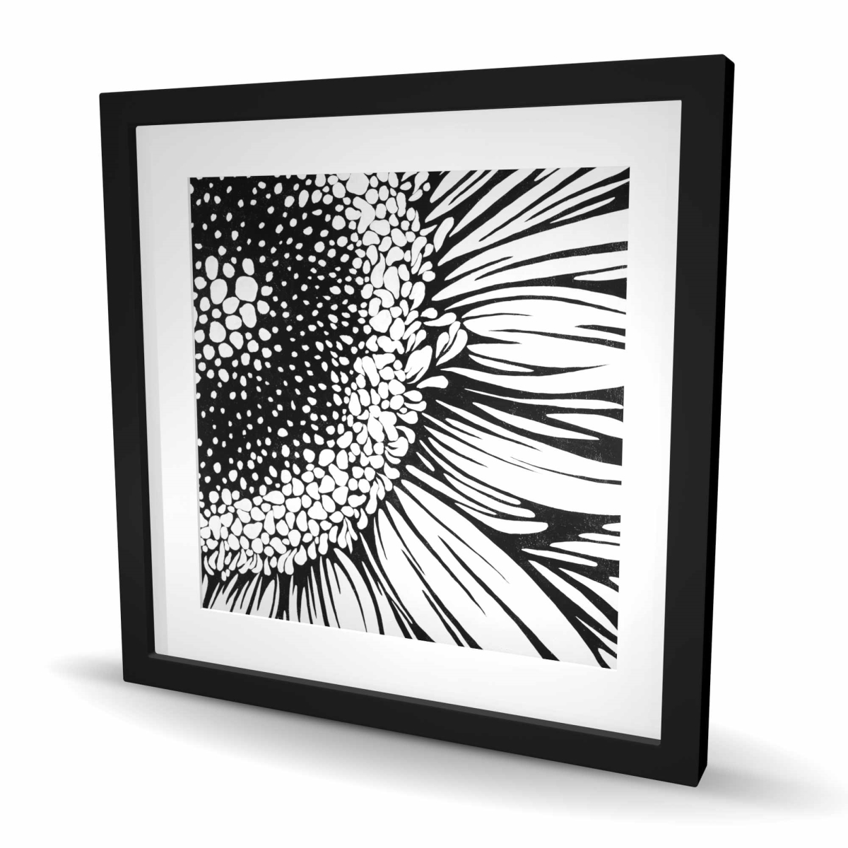 C1FM2424SNH5SF 24 x 24 in. Gerbera Flower Black Framed Matted Print Wall Art - Floral Home Decor