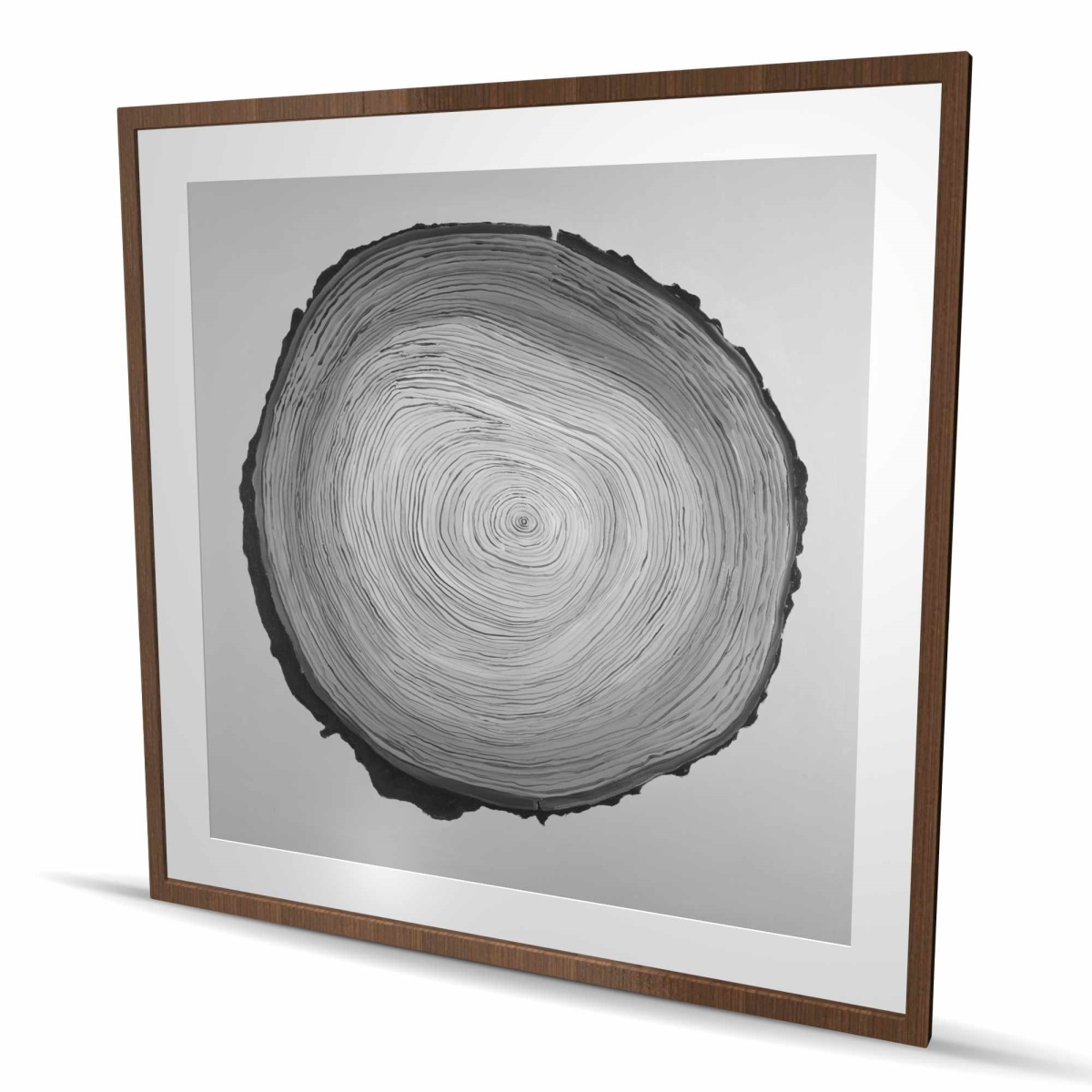 C1FM48485U5OE3 48 x 48 in. Grayscale Round Wood Log - Still Life Bedroom Framed Print Wall Art