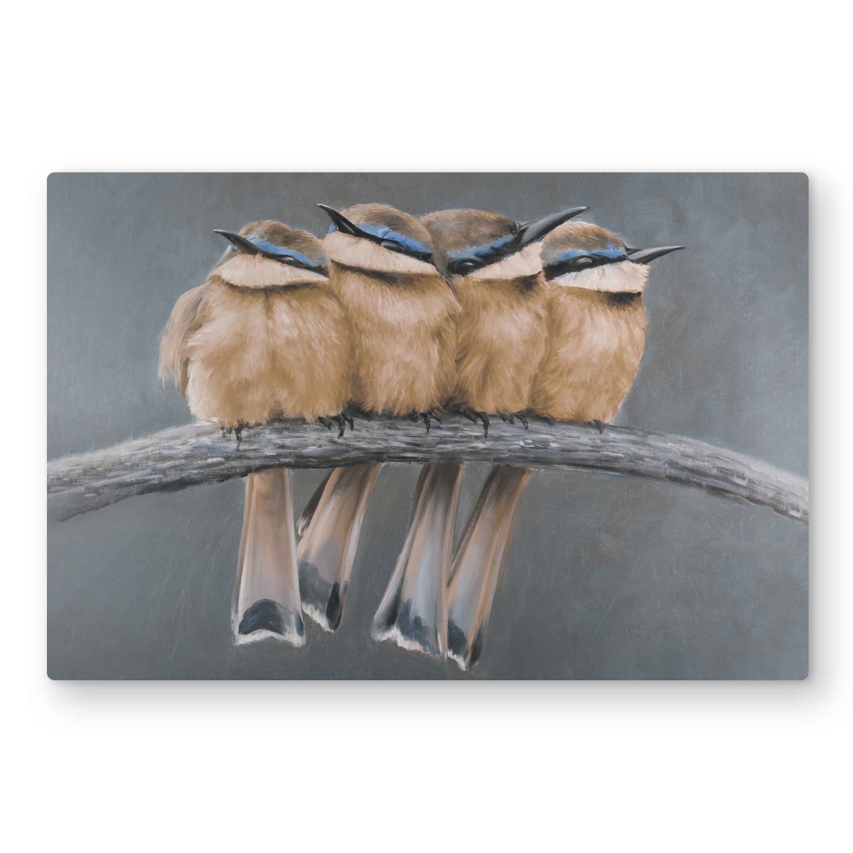 C1MP2030BI5VMP 20 x 30 in. Four Birds On A Branch Metal Print Wall Art - Home Decor Artwork