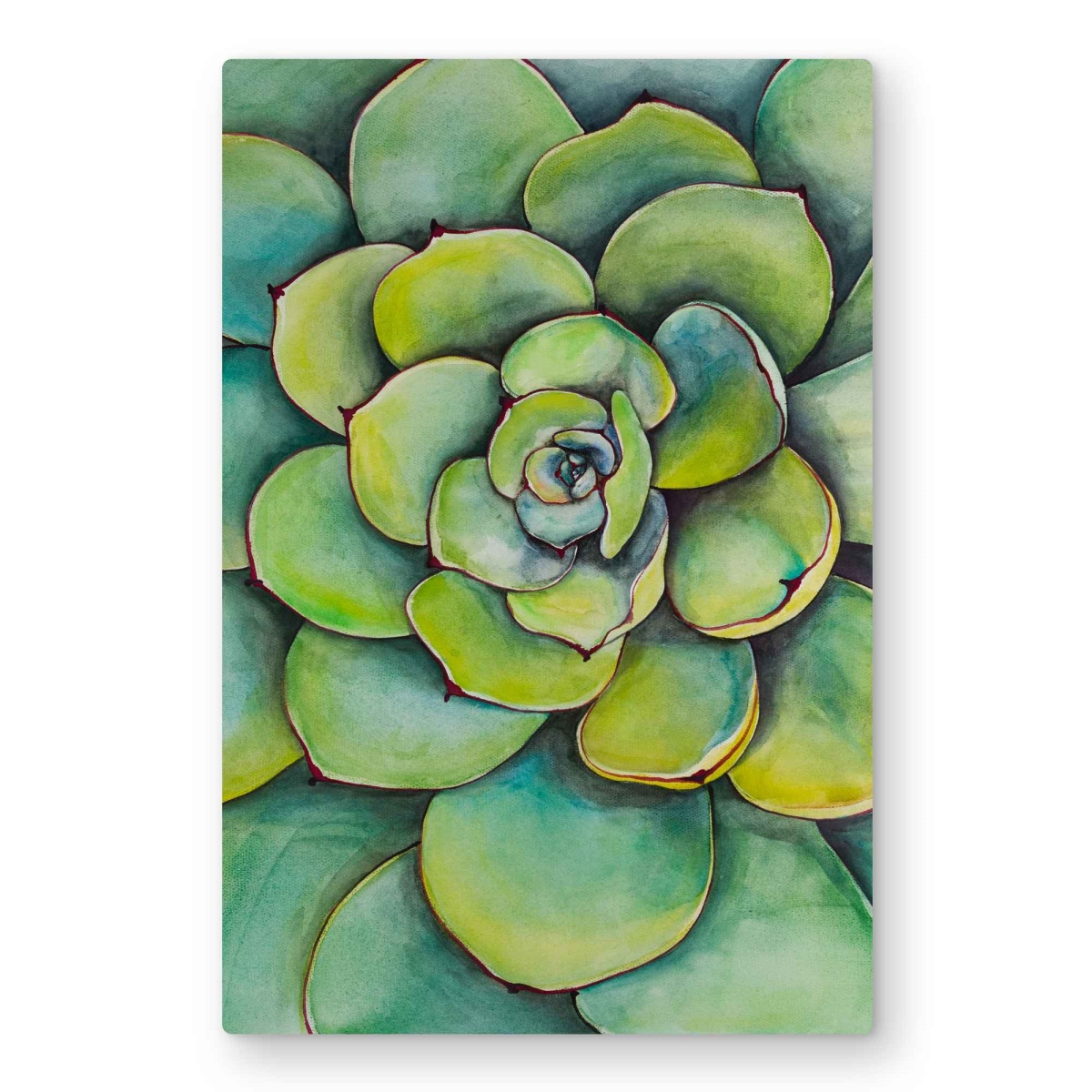 C1MP2030JYGKAU 20 x 30 in. Watercolor Succulent Plant Wall Art - Floral Green Metal Print Decor