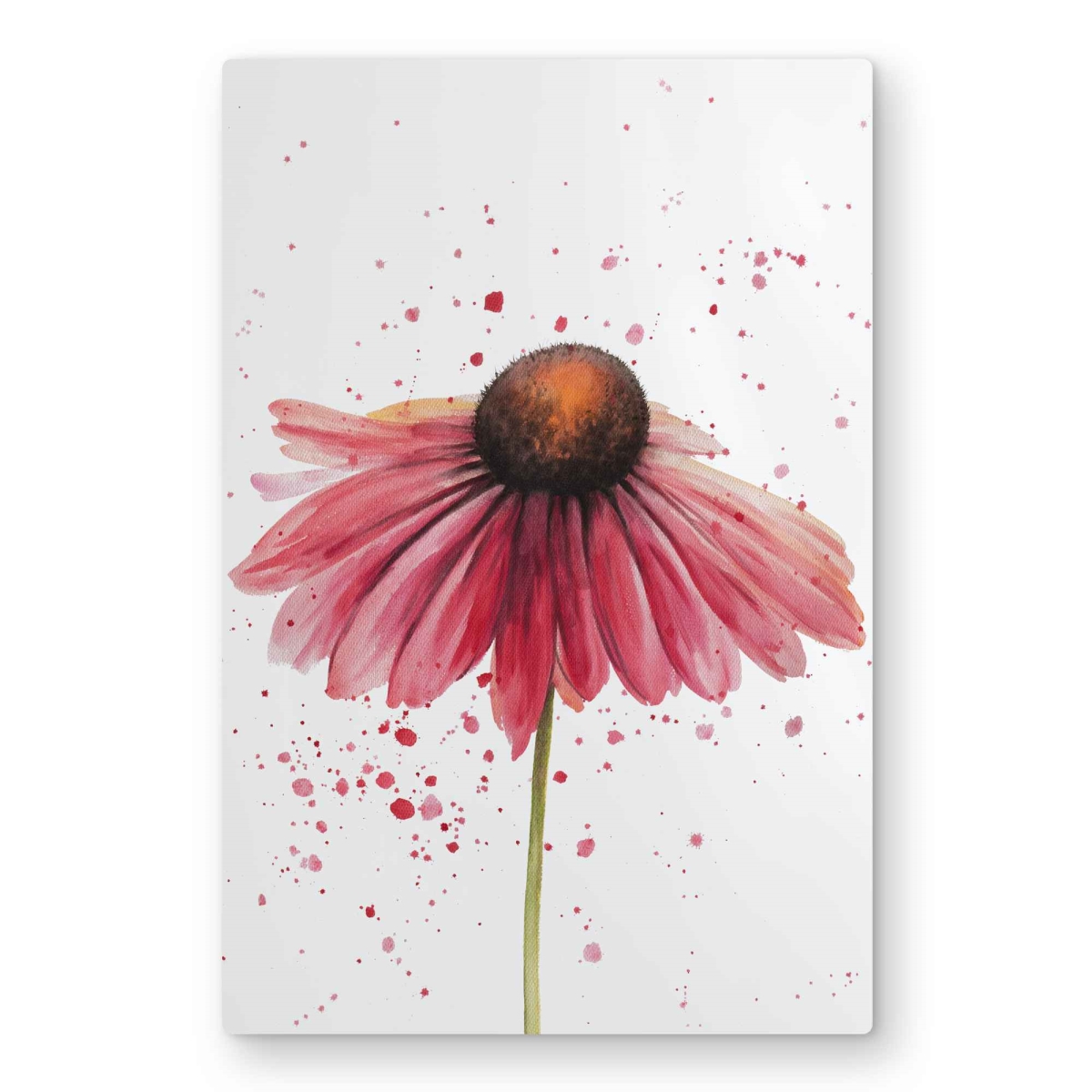 C1MP2030K6PMQO 20 x 30 in. Pink Daisy - Bedroom Romantic Metal Print Wall Art - Home Decor Art