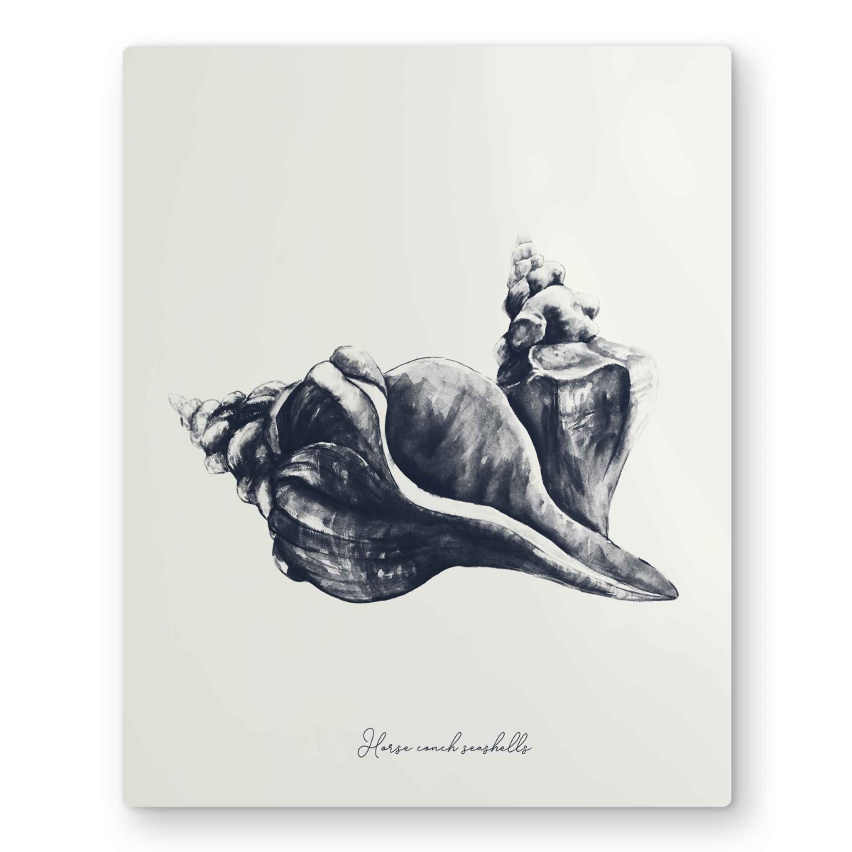 C1MP1620OMJSE4 16 x 20 in. Blue Horse Conch Seashells - Gray Metal Print Wall Art for Home Decor