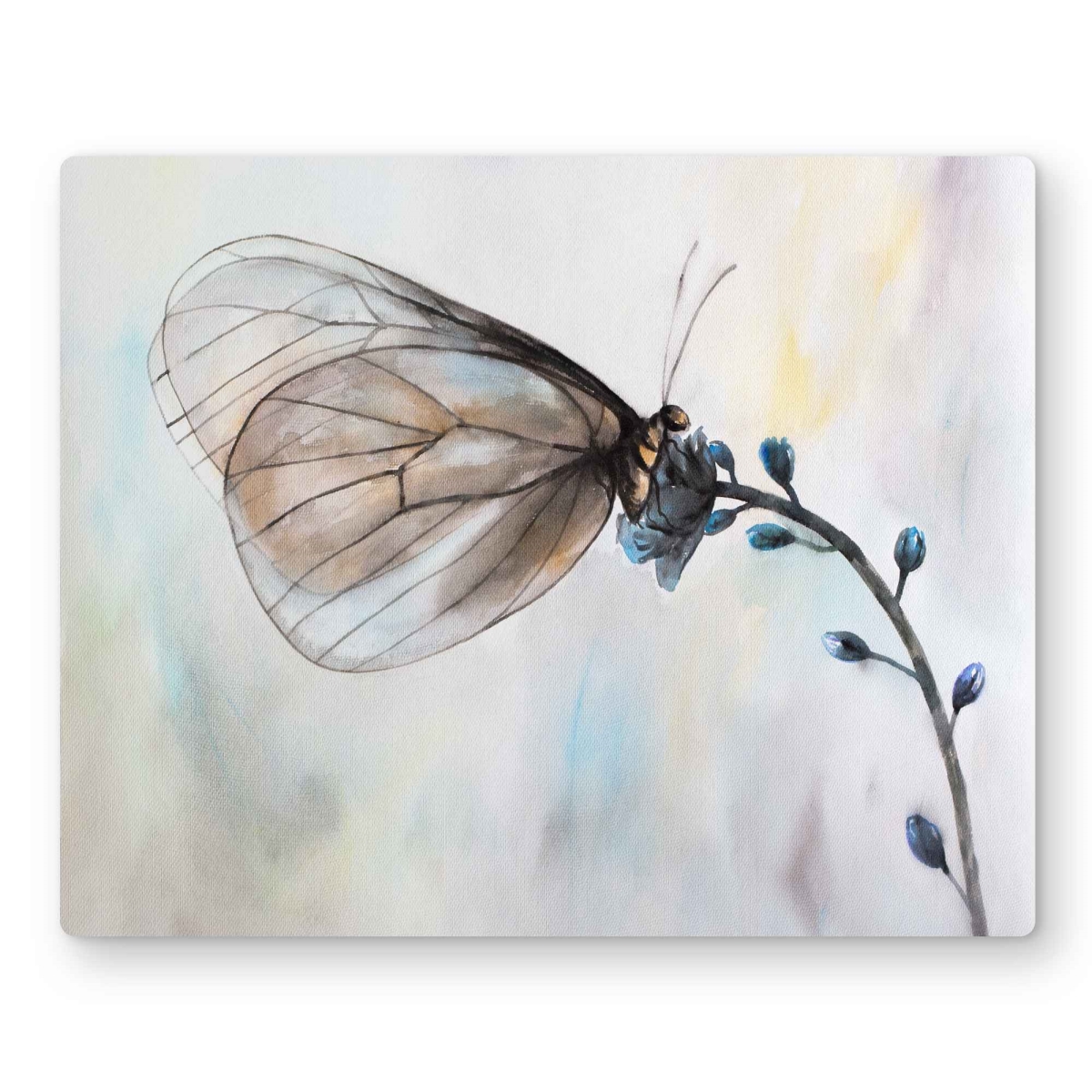 C1MP1620HRNAOC 16 x 20 in. Butterfly On Blue Flowers - Metal Print Wall Art for Home Decor