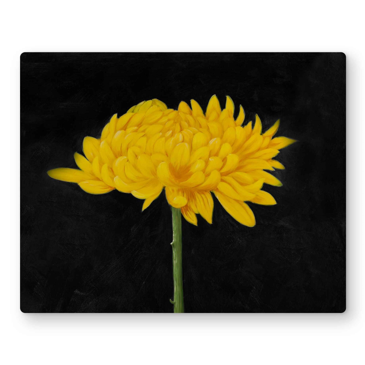 C1MP1620IHZ4D4 16 x 20 in. Chrysanthemum Rustic Metal Print Wall Art - Floral Home Decor Art