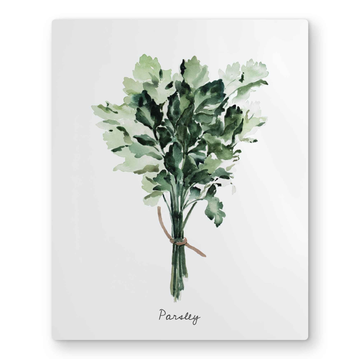 C1MP1620NQ29RN 16 x 20 in. Tied Up Persil Bundle - Kitchen Typo Metal Print Wall Art for Decor