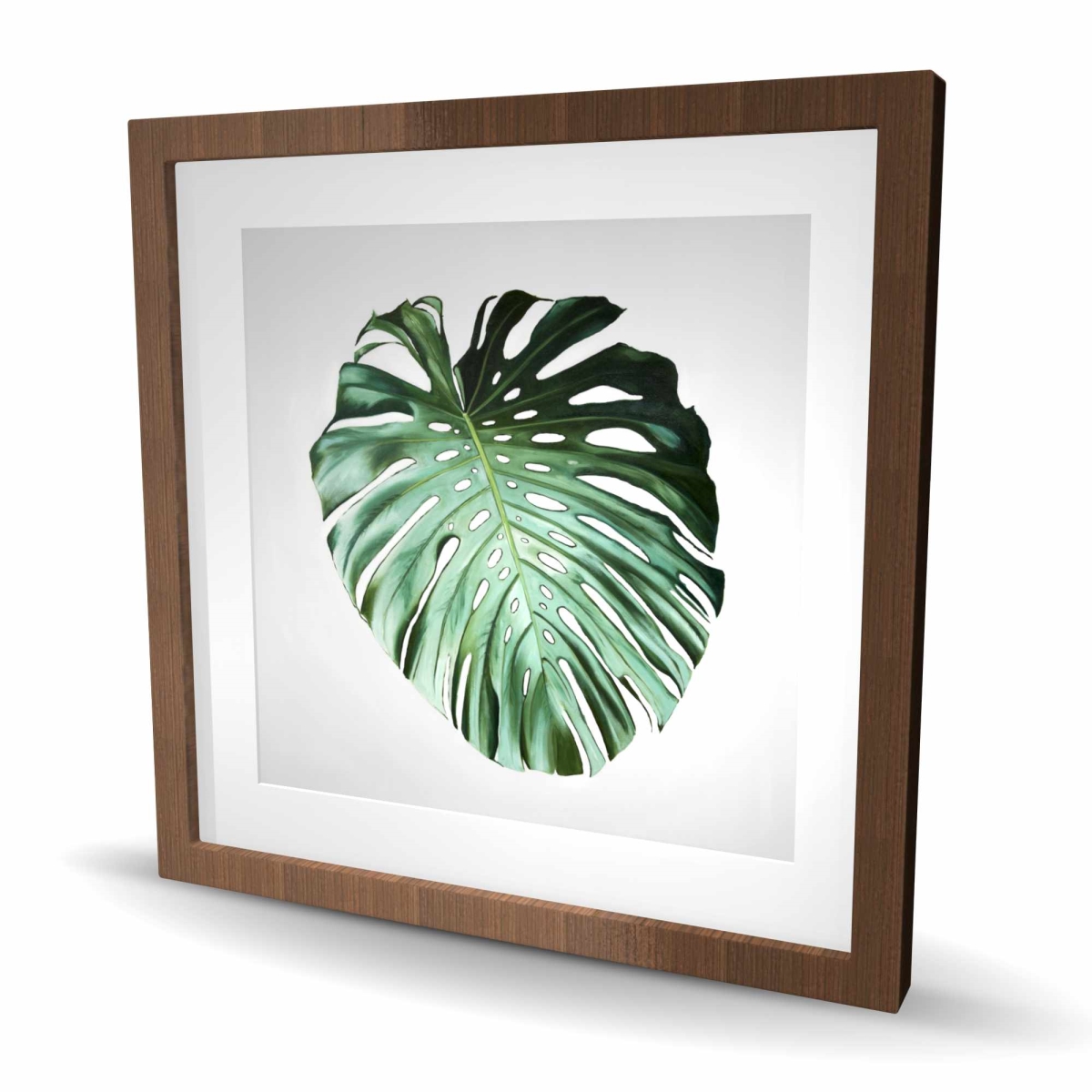C1FM2424V8DZDC 24 x 24 in. Monstera Leaf Framed Matted Print Wall Art - Kitchen Decor Art