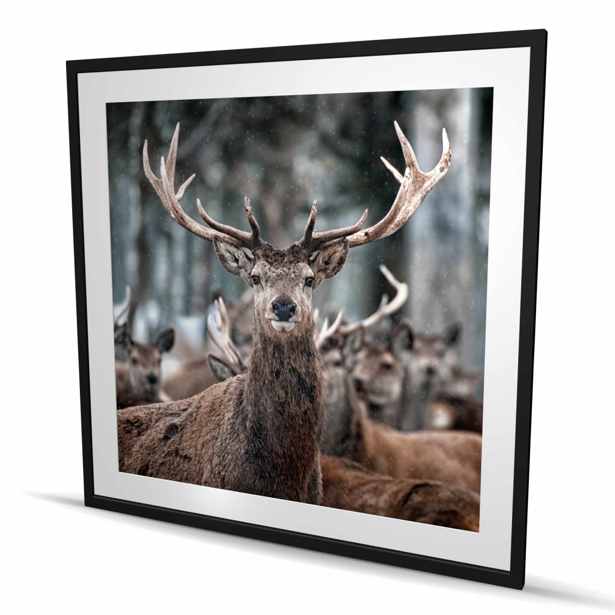 C1FM4848H3AIDY 48 x 48 in. Stags - Rustic Beige Framed Matted Print Wall Art - Home Decor Art