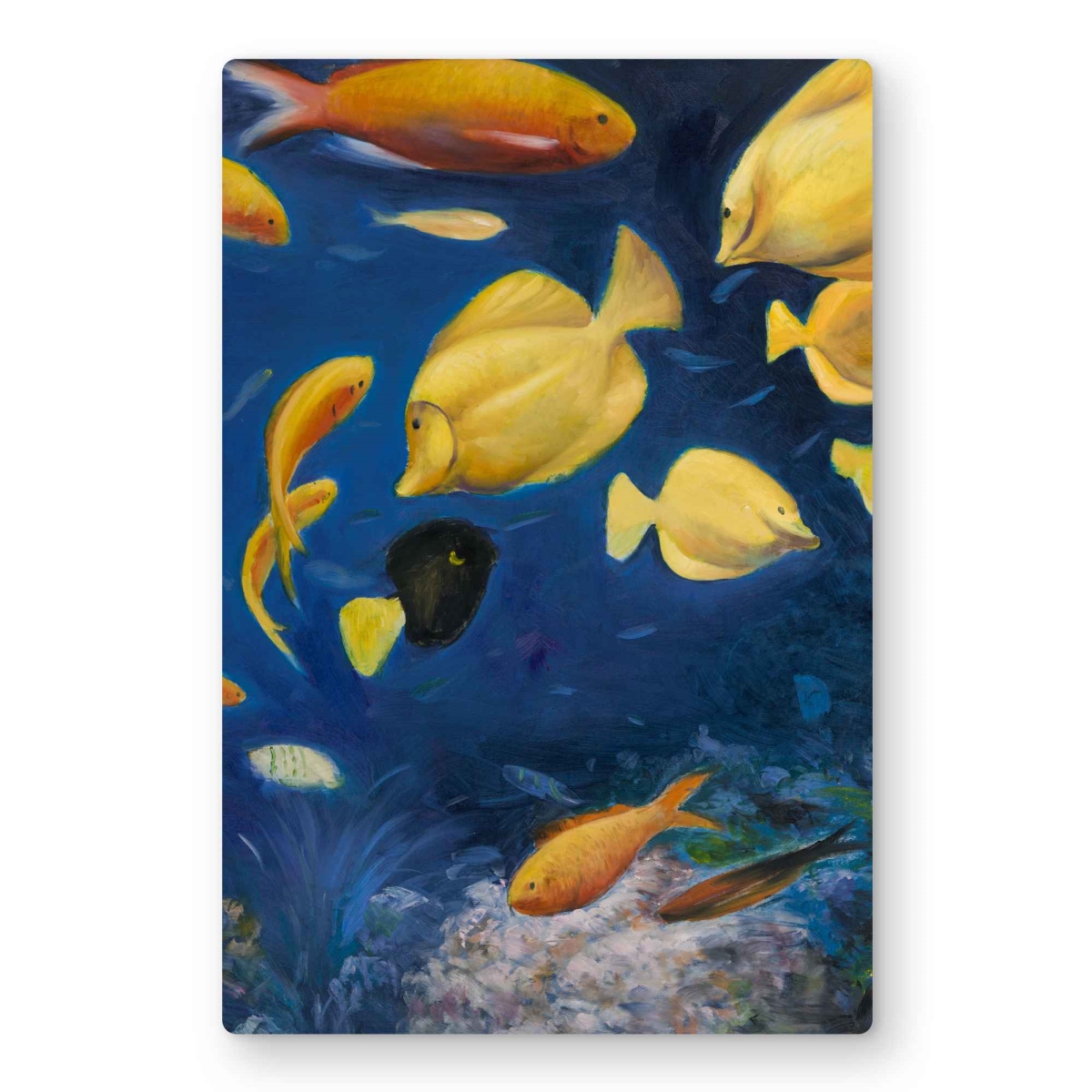 C1MP1218LYJNI8 12 x 18 in. Fish Under the Sea - Bedroom Animals Metal Print Wall Art for Decor