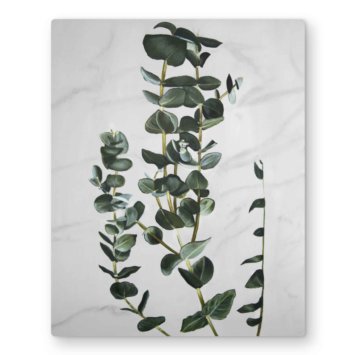 C1MP1620V55C9D 16 x 20 in. Eucalyptus Stems Wall Art - Bathroom Floral Metal Print