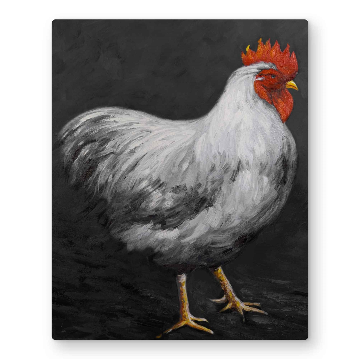 C1MP1620XVIGM6 16 x 20 in. Gray Rooster 2 Wall Art - White Farm Animals Metal Print