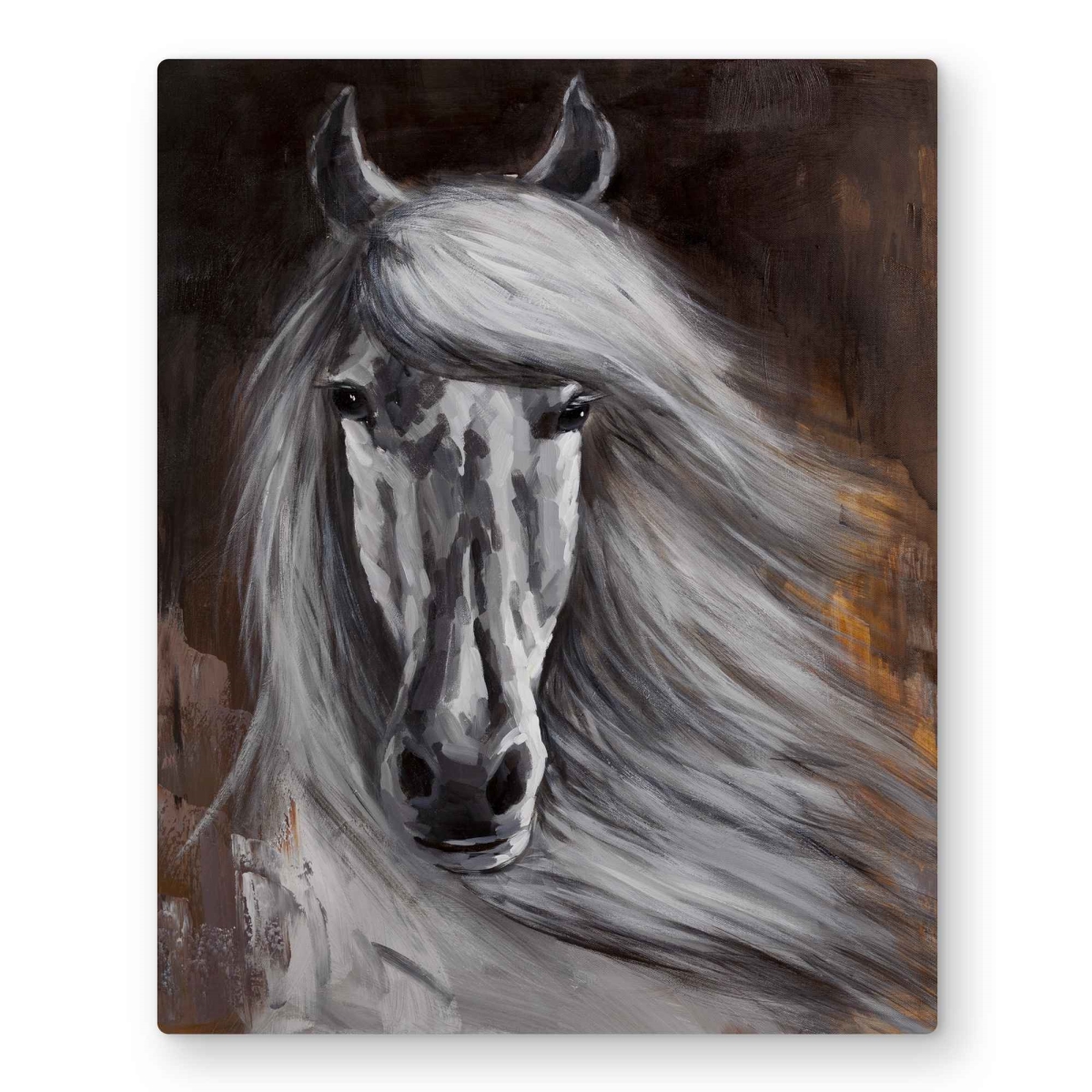 C1MP1620ZGAWBZ 16 x 20 in. Proud White Horse - Wildlife Metal Print Wall Art for Home Decor