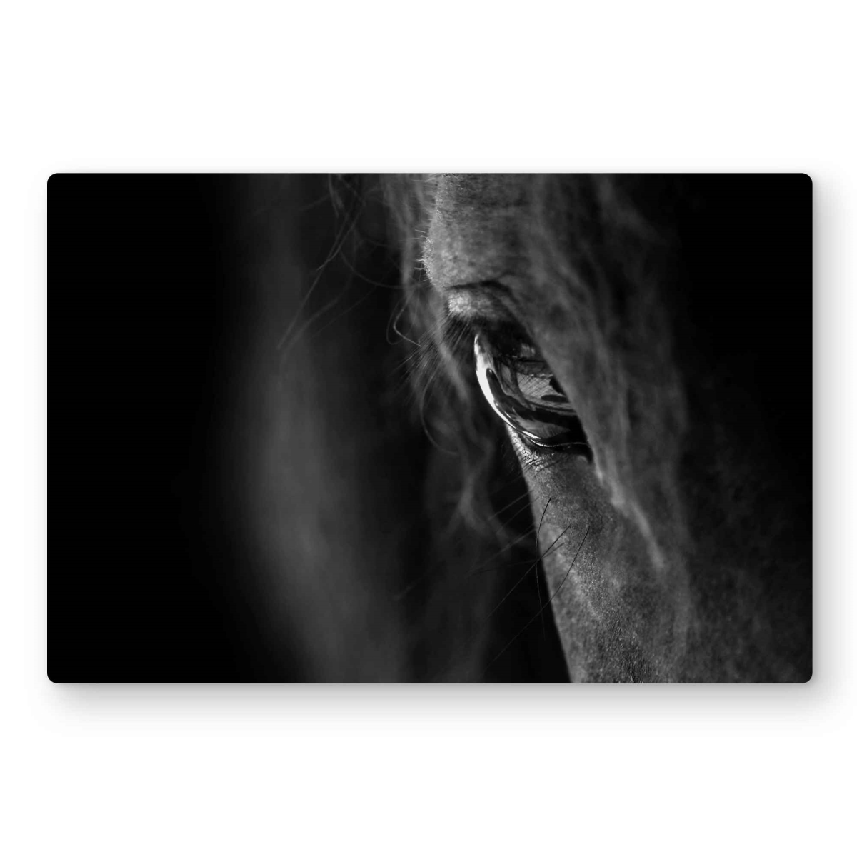 C1MP1218TDQ44K 12 x 18 in. Black Horse - Man Cave Gray Metal Print Wall Art for Home Decor