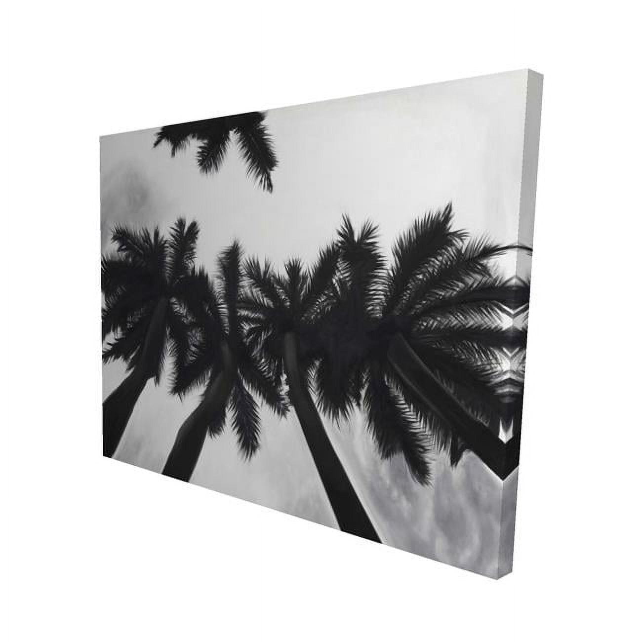 8 x 10 in. Monochrome Palm Trees-Print on Canvas