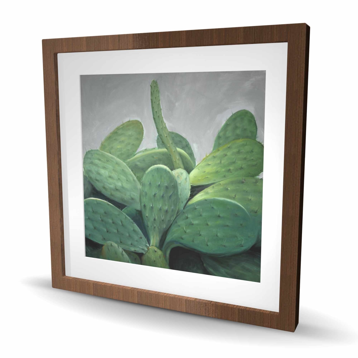 C1FM2424UKUORG 24 x 24 in. Cactus Bundle - Exotic Cactus Framed Matted Print Wall Art for Decor