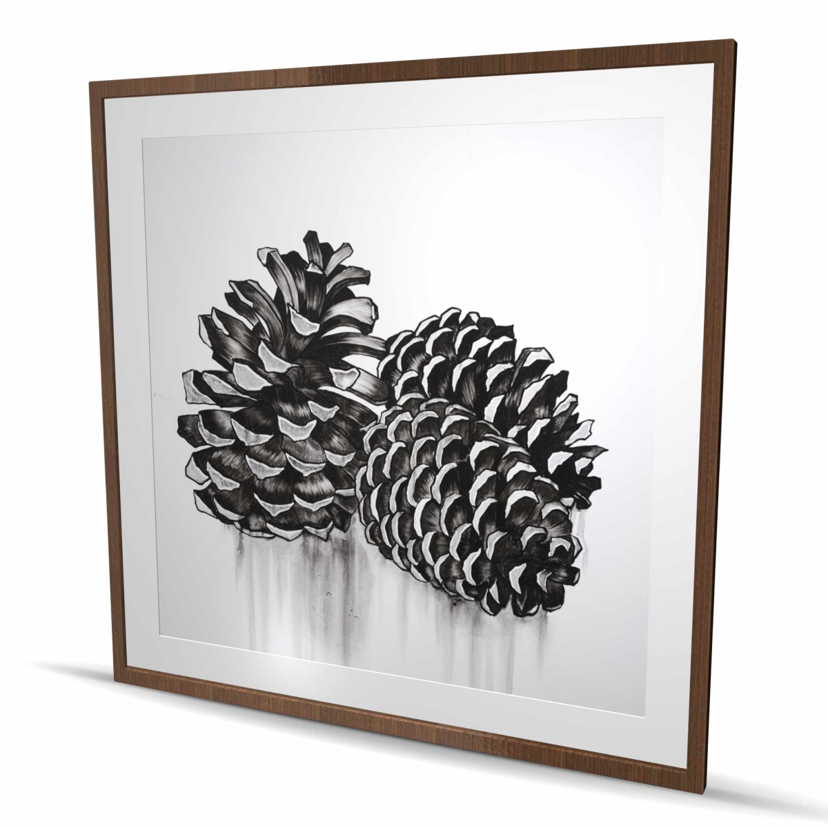 C1FM48488ZMAJB 48 x 48 in. Three Small Pine Cones Print Wall Art - Black & White Framed Art