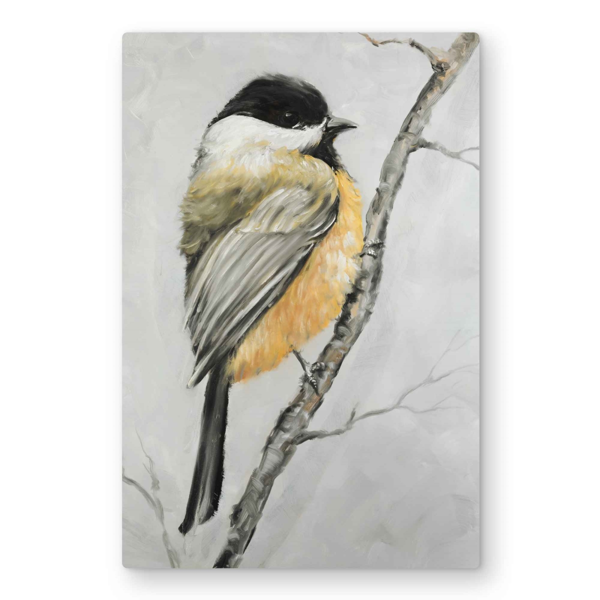 C1MP2030TWZ2QI 20 x 30 in. Small Coal Tit Wall Art - Contemporary Bird Metal Print