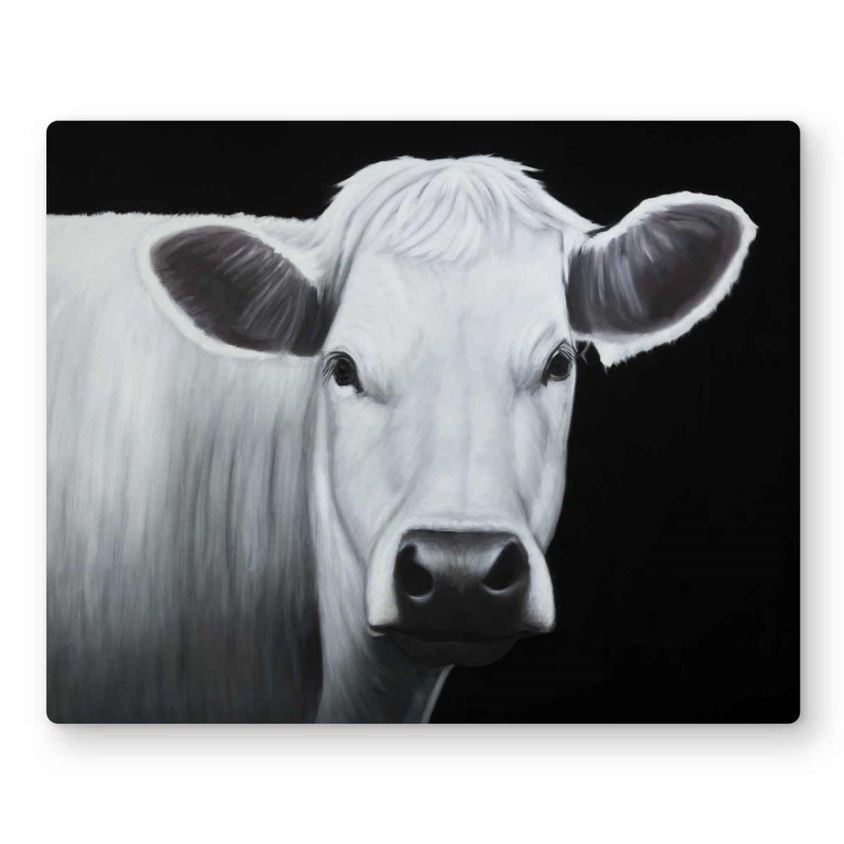 C1MP1620DICT4E 16 x 20 in. White Cow Metal Print Wall Art - Unique Home Decor Accent Piece