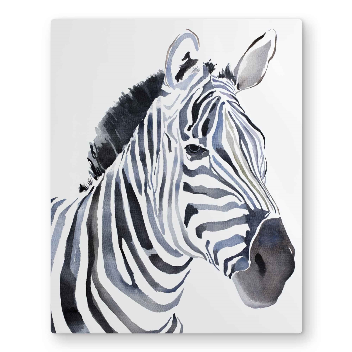 C1MP16207A7PU1 16 x 20 in. Watercolor Zebra - Metal Print Wall Art for Home Decor - Wildlife Art