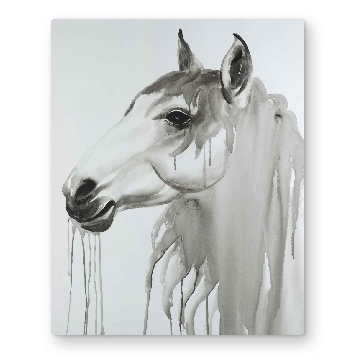 C1MP1620YKN47J 16 x 20 in. Beautiful White Horse Wall Art - Bedroom Animals Metal Print Decor