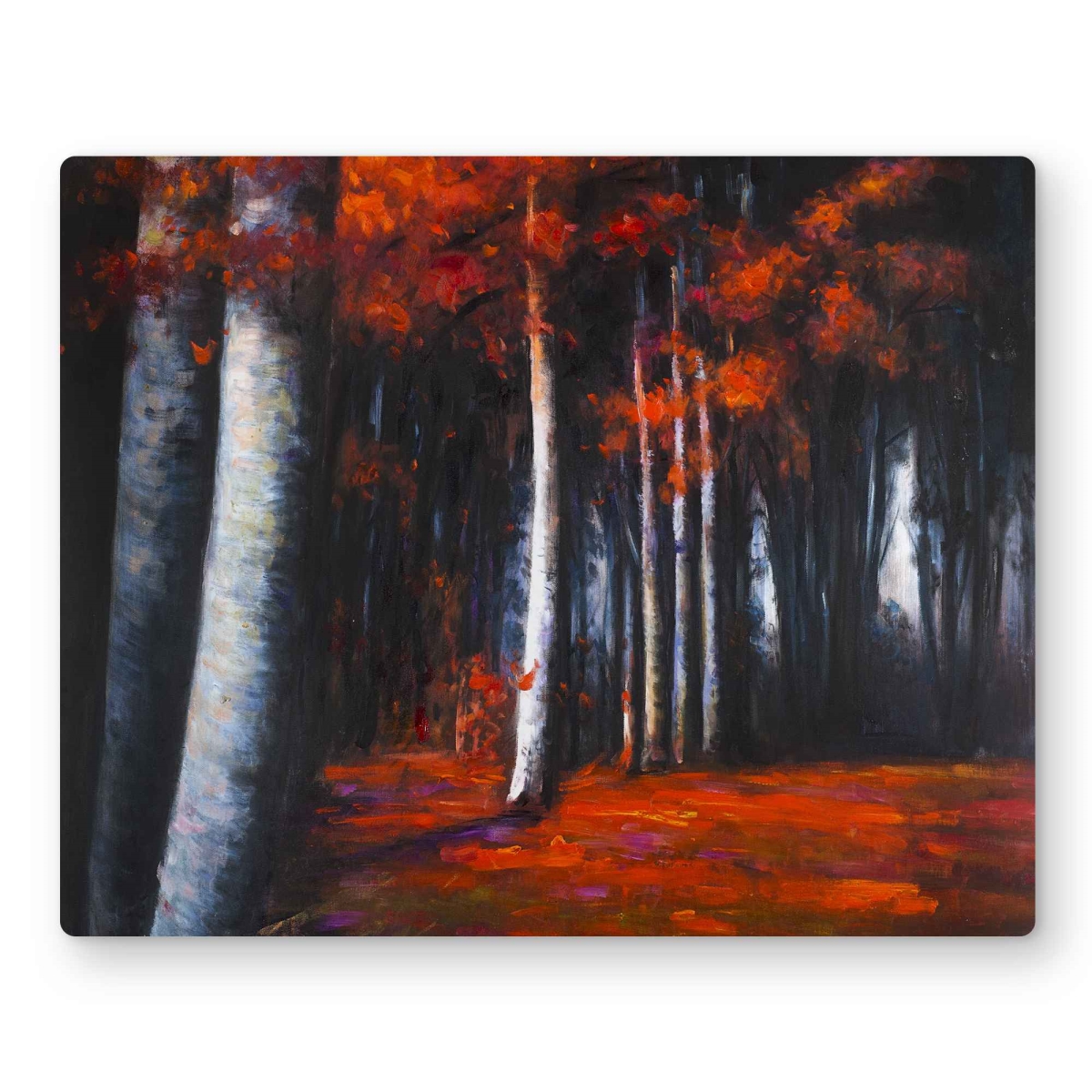 C1MP1620XDHS2N 16 x 20 in. Mysterious Forest Wall Art - Contemporary Landscapes Metal Print