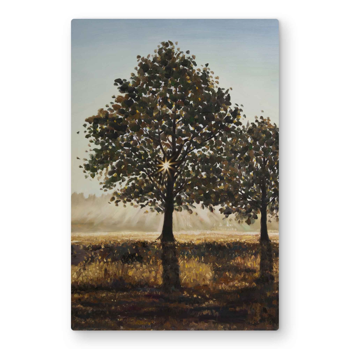 C1MP2030SWWYLN 20 x 30 in. Brown Trees Metal Print Wall Art - Countryside Home Decor Accent