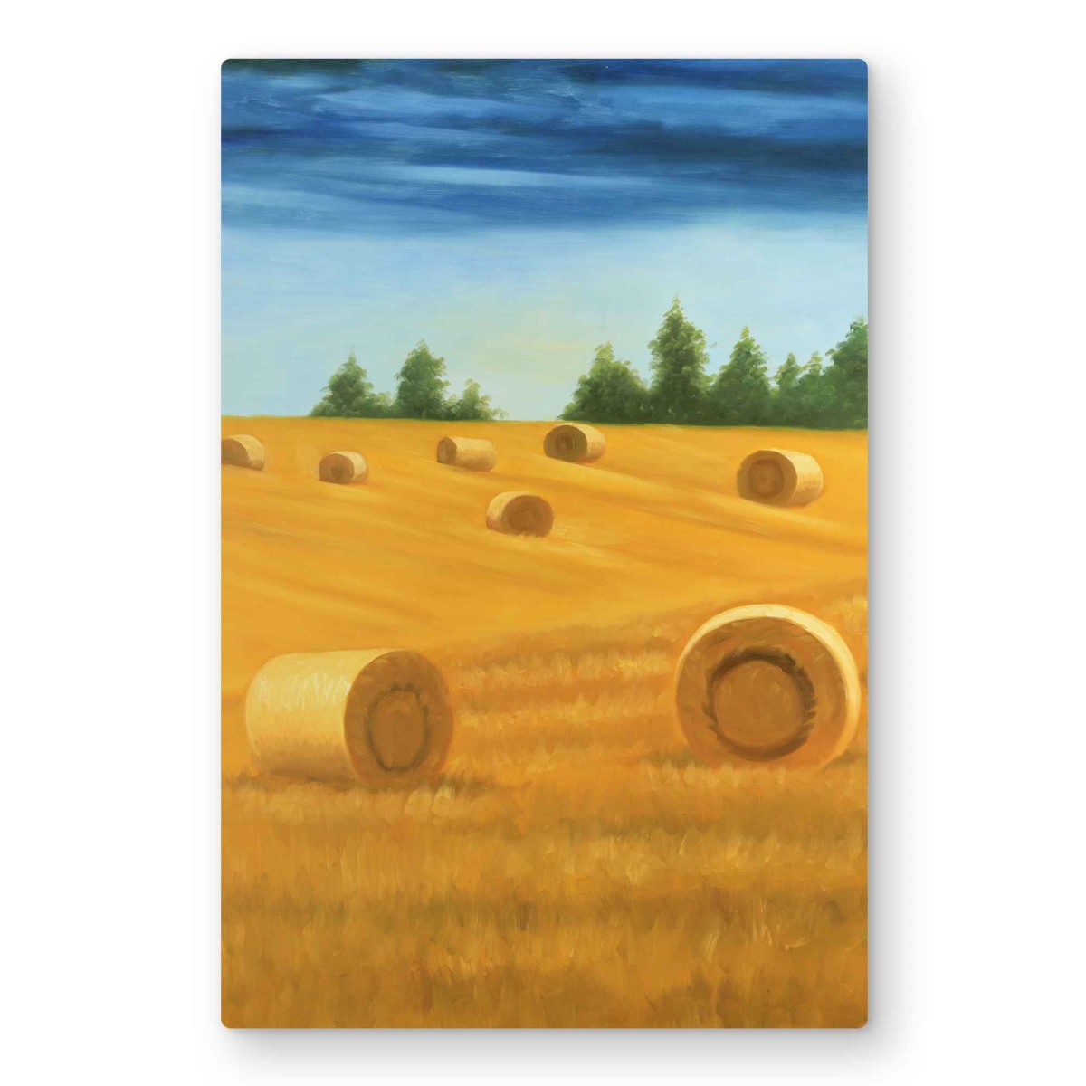 C1MP2030ZMAAXT 20 x 30 in. Landscape of the Countryside Wall Art - Trees Metal Print