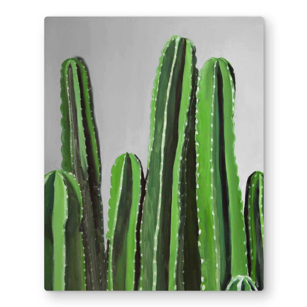 C1MP16203TZKND 16 x 20 in. Cactus Candles Wall Art - Floral & Botanical Metal Print