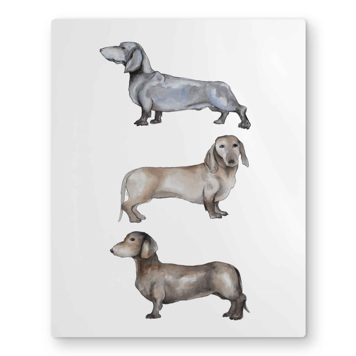C1MP1620GR4W7Q 16 x 20 in. Small Dachshund Dog Metal Print Wall Art - Bedroom Decor Illustration