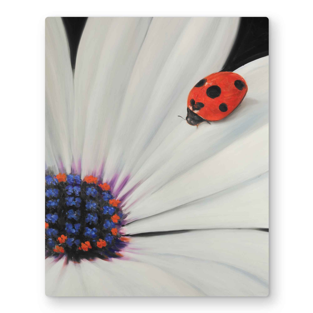 C1MP1620GZVNB7 16 x 20 in. White Daisy & Ladybug - Blue Romantic Metal Print Wall Art - Decor