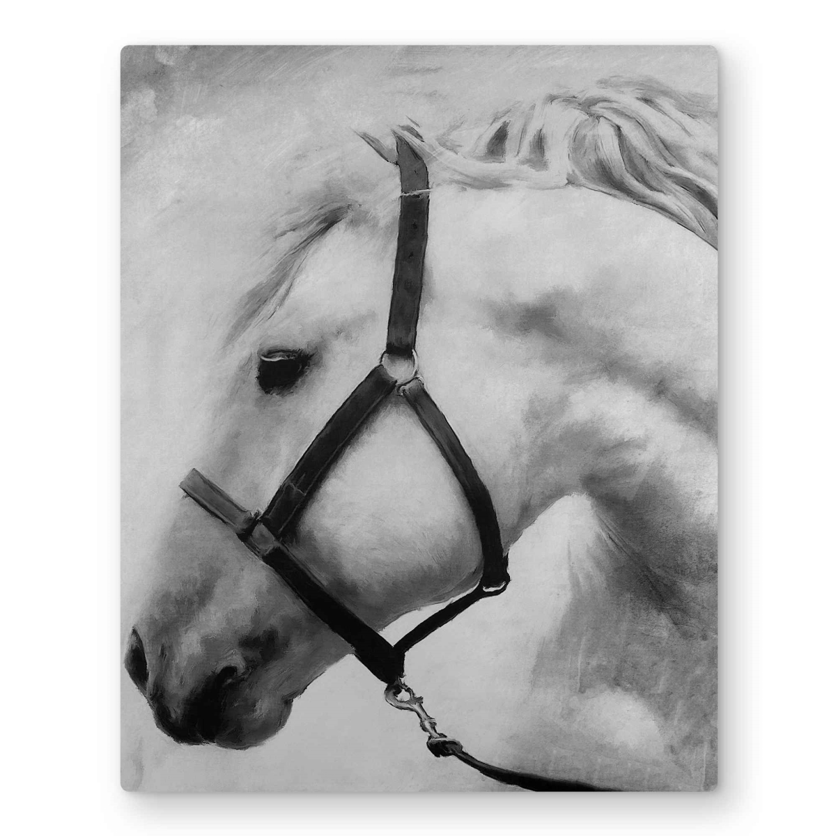 C1MP1620Q228QY 16 x 20 in. Darius the Horse - Metal Print Wall Art for Home Decor - Animal Art