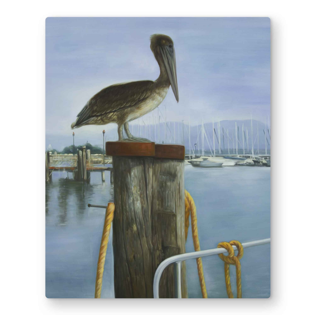 C1MP1620TRP6Y5 16 x 20 in. Pelican - Brown Marine Metal Print Wall Art for Home Decor - Art