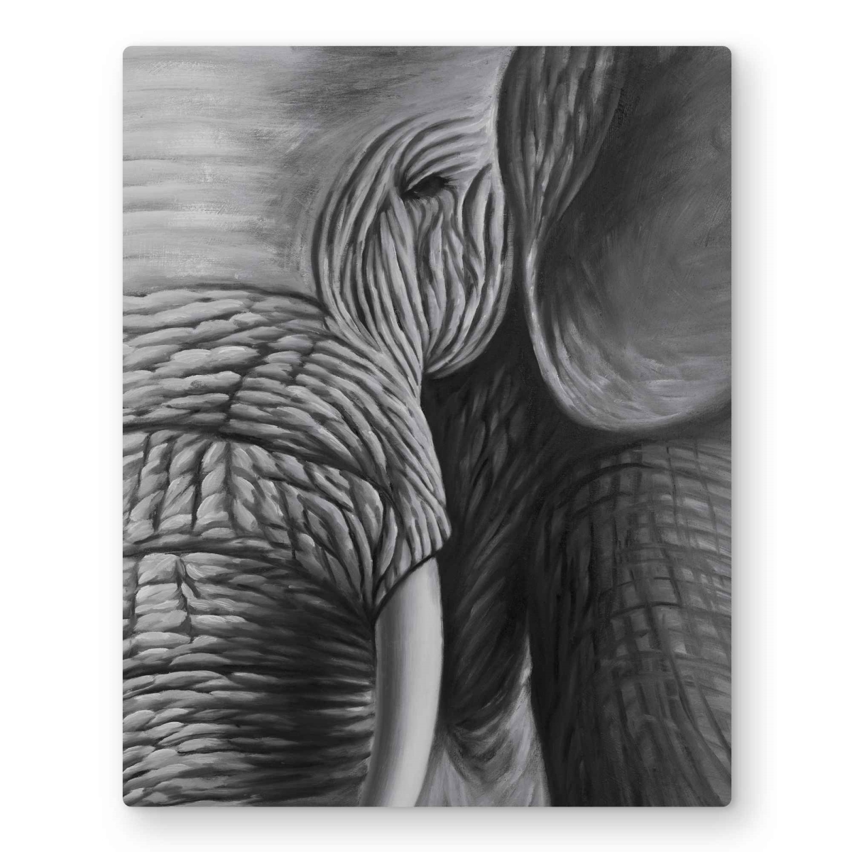 C1MP1620QB25QM 16 x 20 in. Elephant Black & White Wildlife Metal Print Wall Art for Home Decor