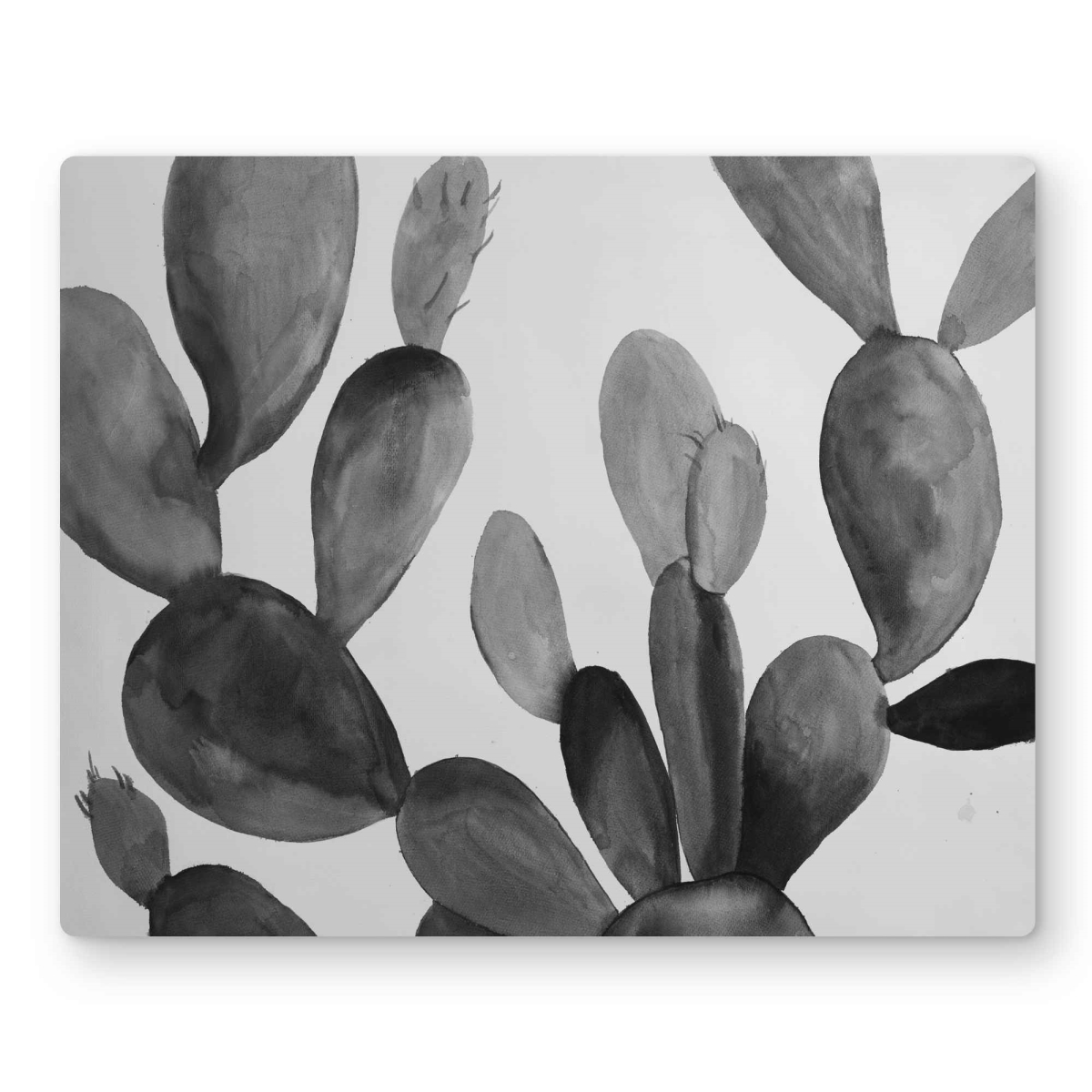 C1MP1620QQHMMU 16 x 20 in. Grayscale Cactus - Gray Floral Metal Print Wall Art for Home Decor