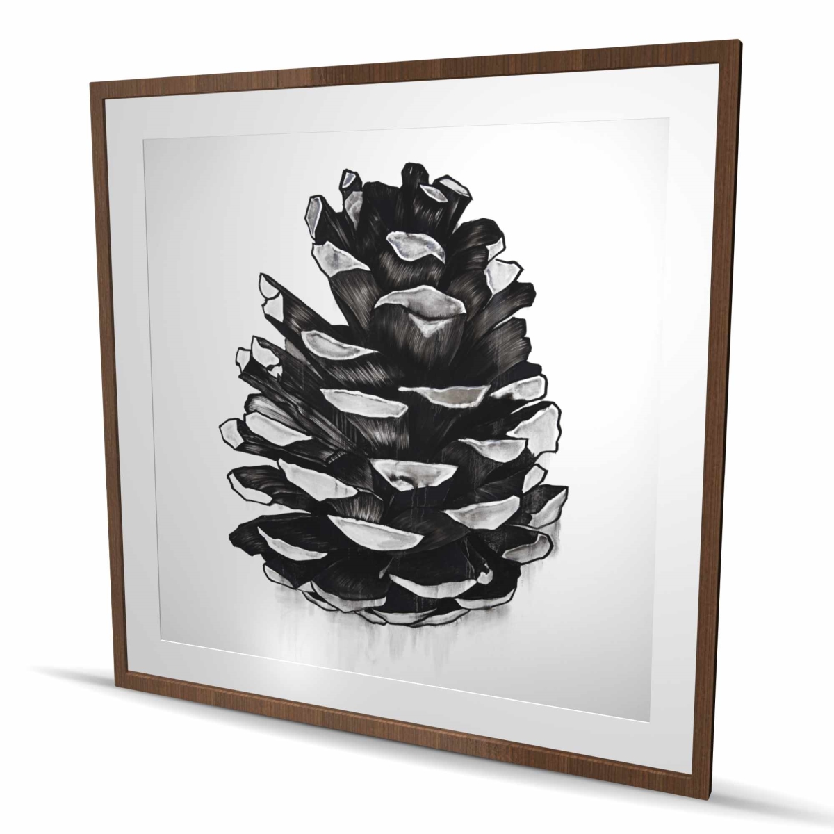 C1FM4848IULB7E 48 x 48 in. Pine Cone - Rustic Framed Matted Print Wall Art for Home Decor