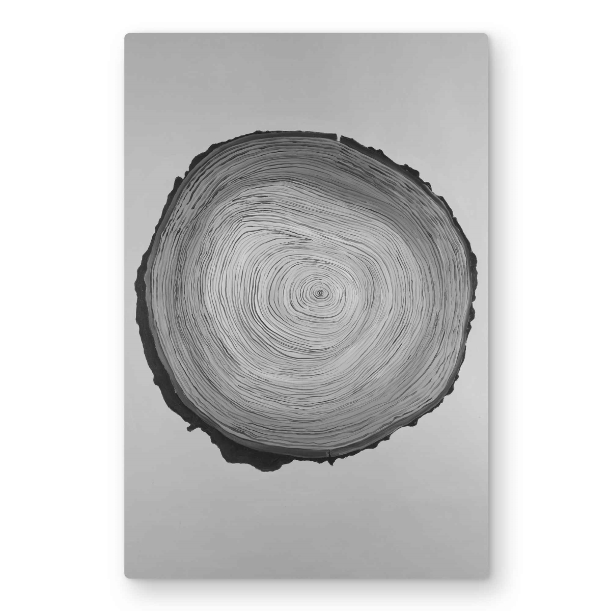 C1MP2030S0I1J2 20 x 30 in. Grayscale Round Wood Log - Gray Metal Print Wall Art for Home Decor