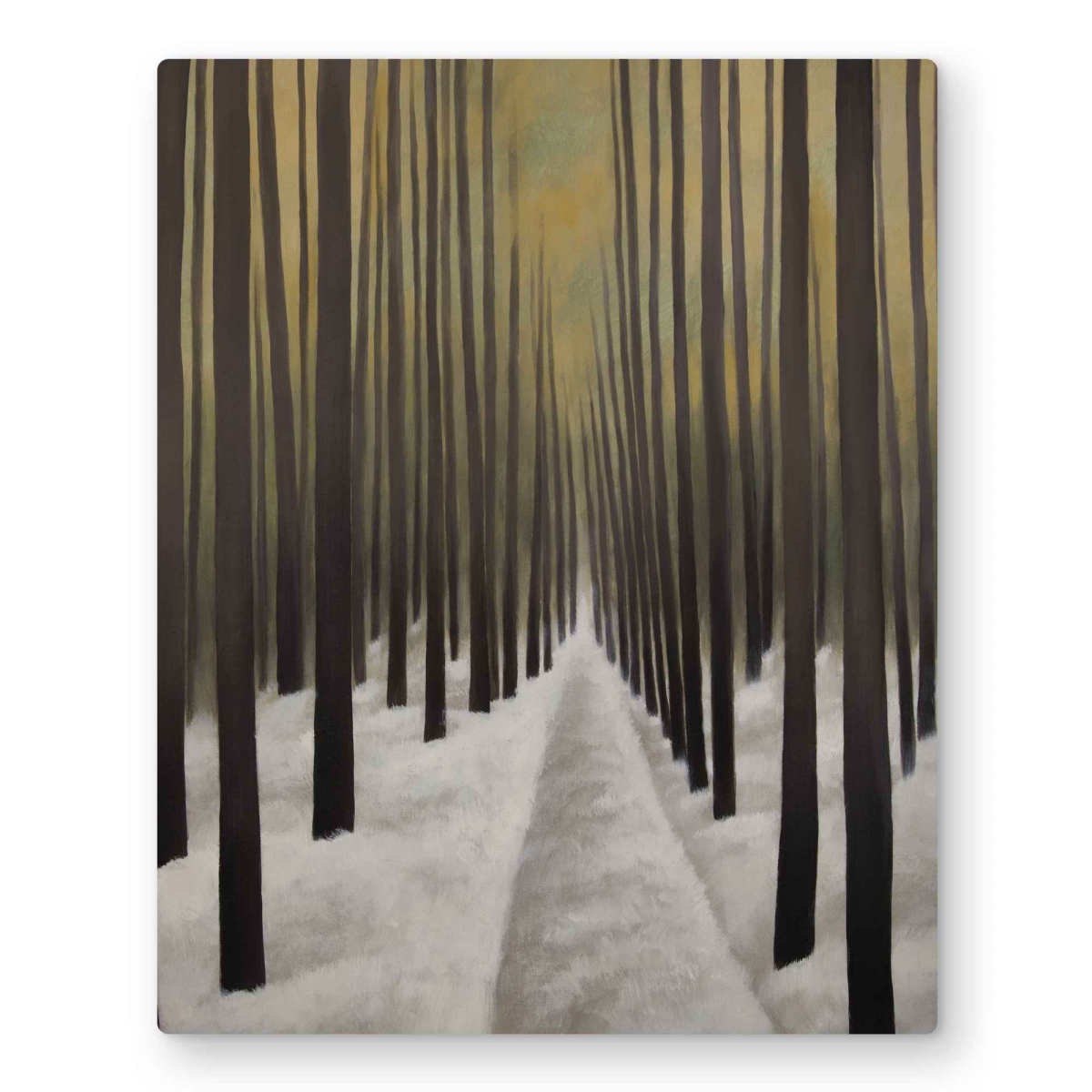 C1MP1620AD9X15 16 x 20 in. Hiking in the Forest Wall Art - Livingroom Snow Metal Print Decor