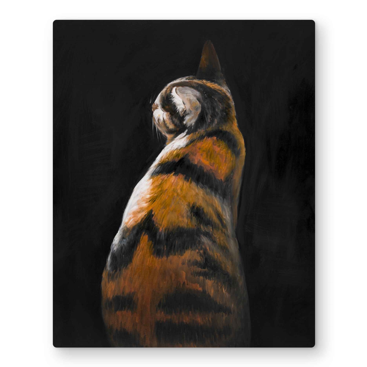 C1MP16202Y3RA1 16 x 20 in. Spotted Cat - Feline Modern Metal Print Wall Art for Home Decor