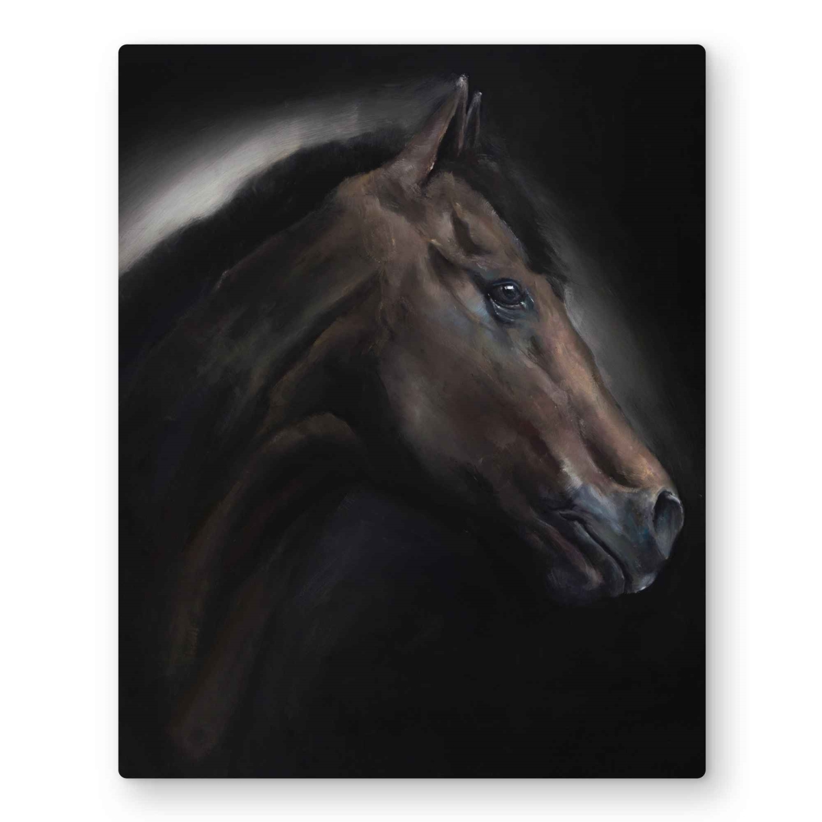 C1MP16209VJFCW 16 x 20 in. Loneliness Horse - Western Black Metal Print Wall Art for Home Decor