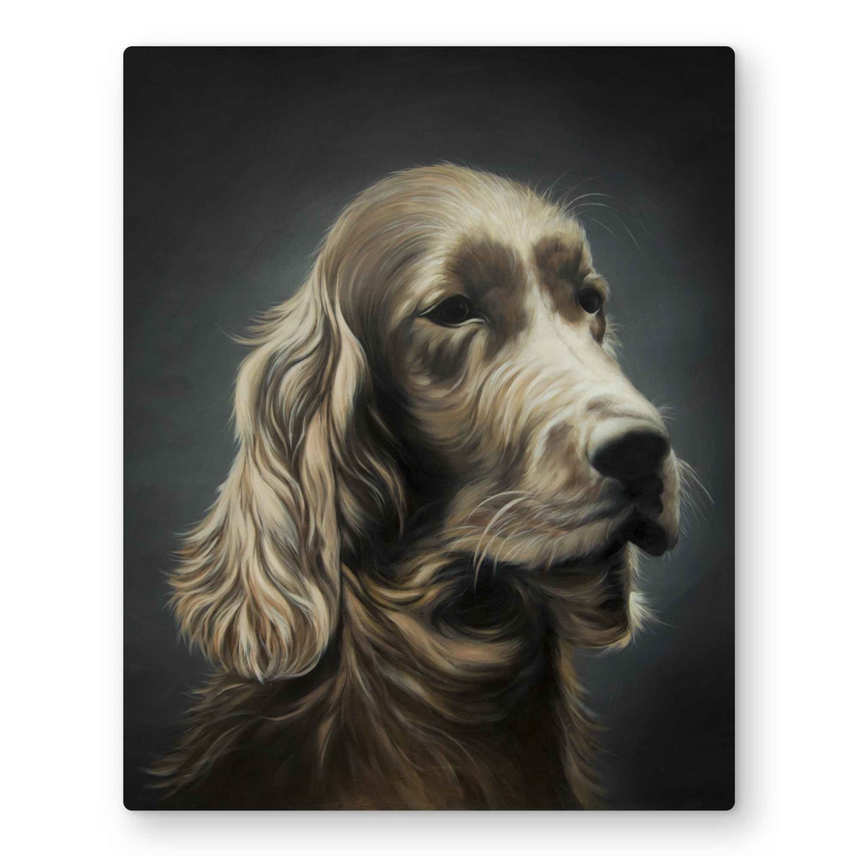 C1MP1620V4XSD1 16 x 20 in. Field Spaniel - Pets Office Metal Print Wall Art for Home Decor