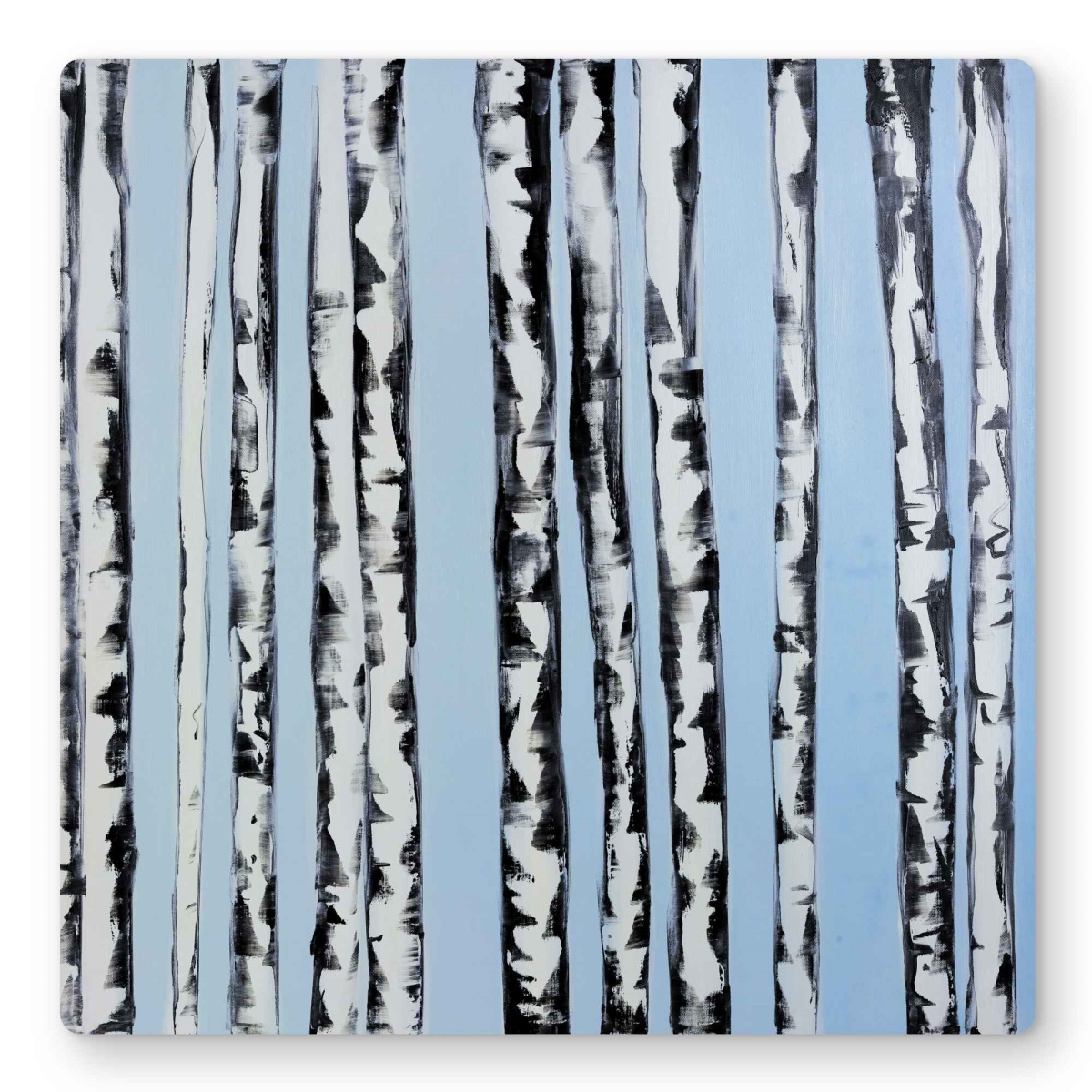 C1MP1616PJHXVD 16 x 16 in. Birches On A Blue Background - Modern Metal Print Wall Art for Bedroom