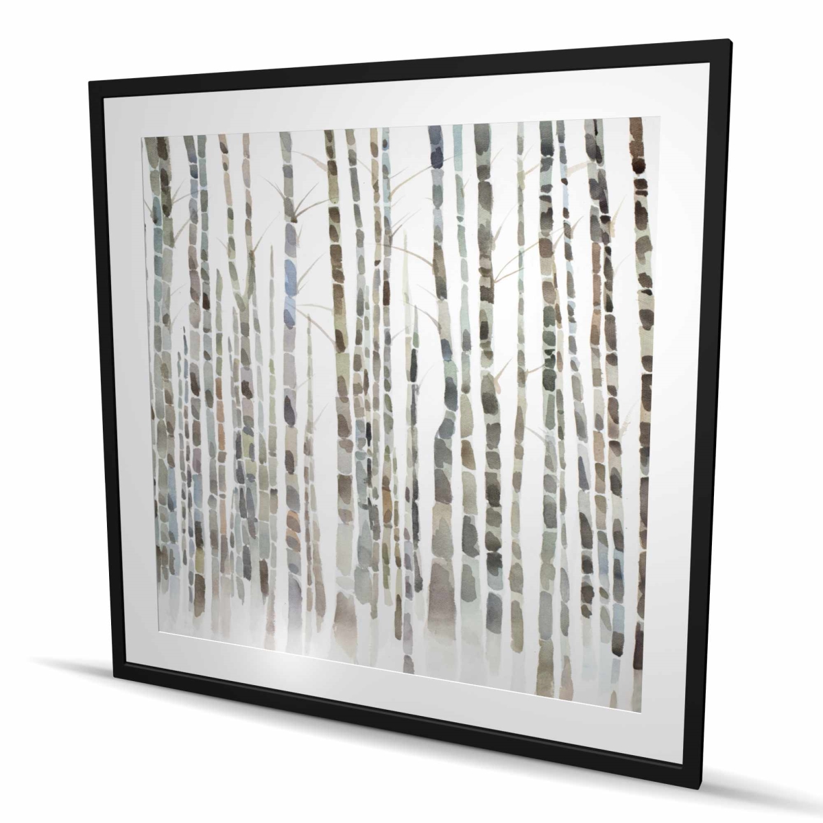 C1FM4848IWC9U4 48 x 48 in. Birch Trees Forest - Minimalist Framed Print Wall Art for Home Decor
