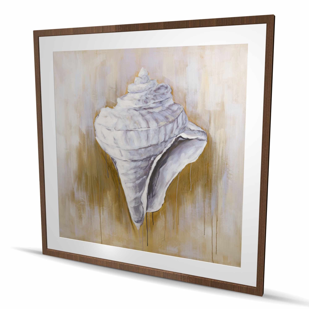 C1FM4848QIJQ5B 48 x 48 in. Conical Shell - Brown Sea Framed Matted Print Wall Art - Home Decor