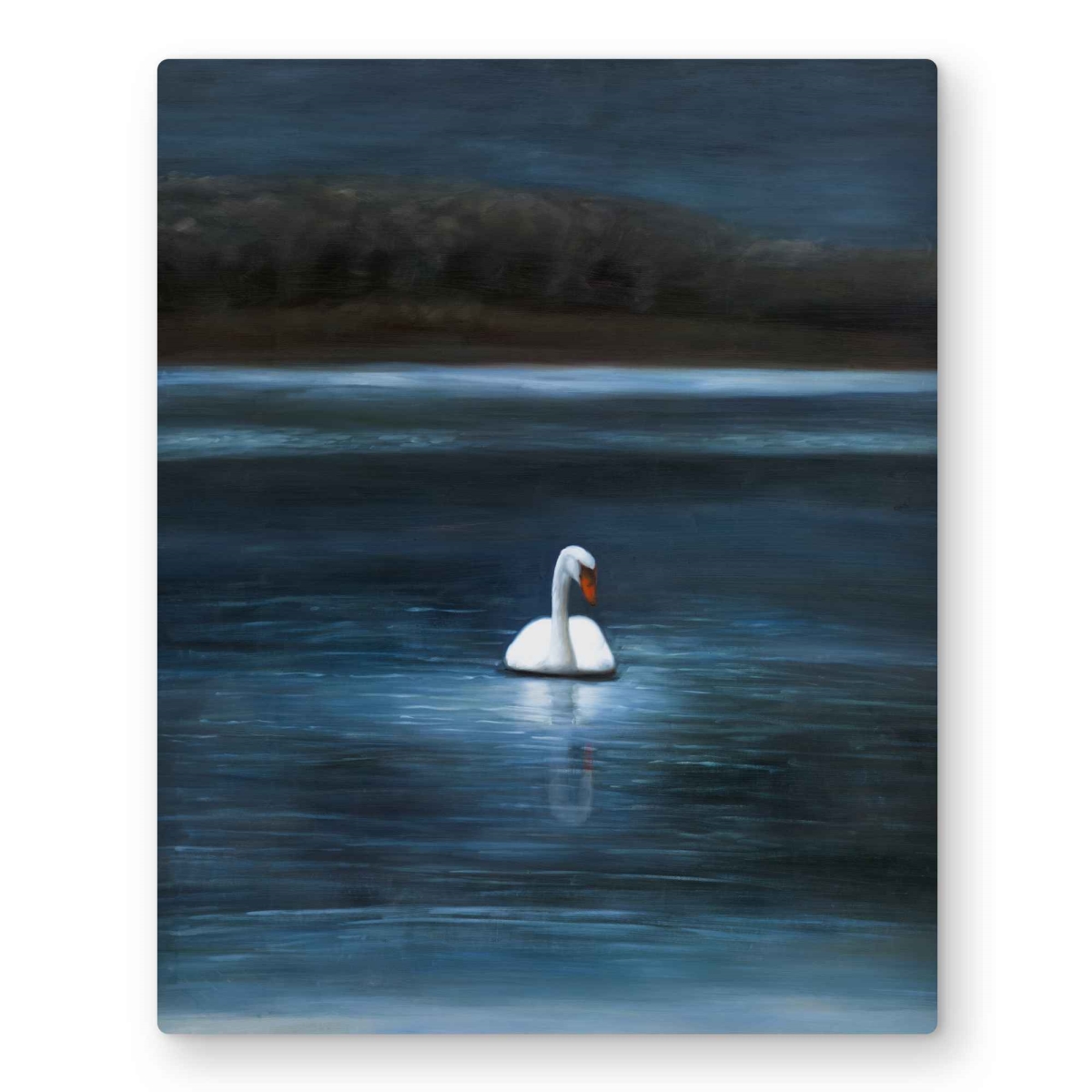 C1MP16209G05U2 16 x 20 in. Beautiful Swan - Romantic Metal Print Wall Art for Living Room Decor