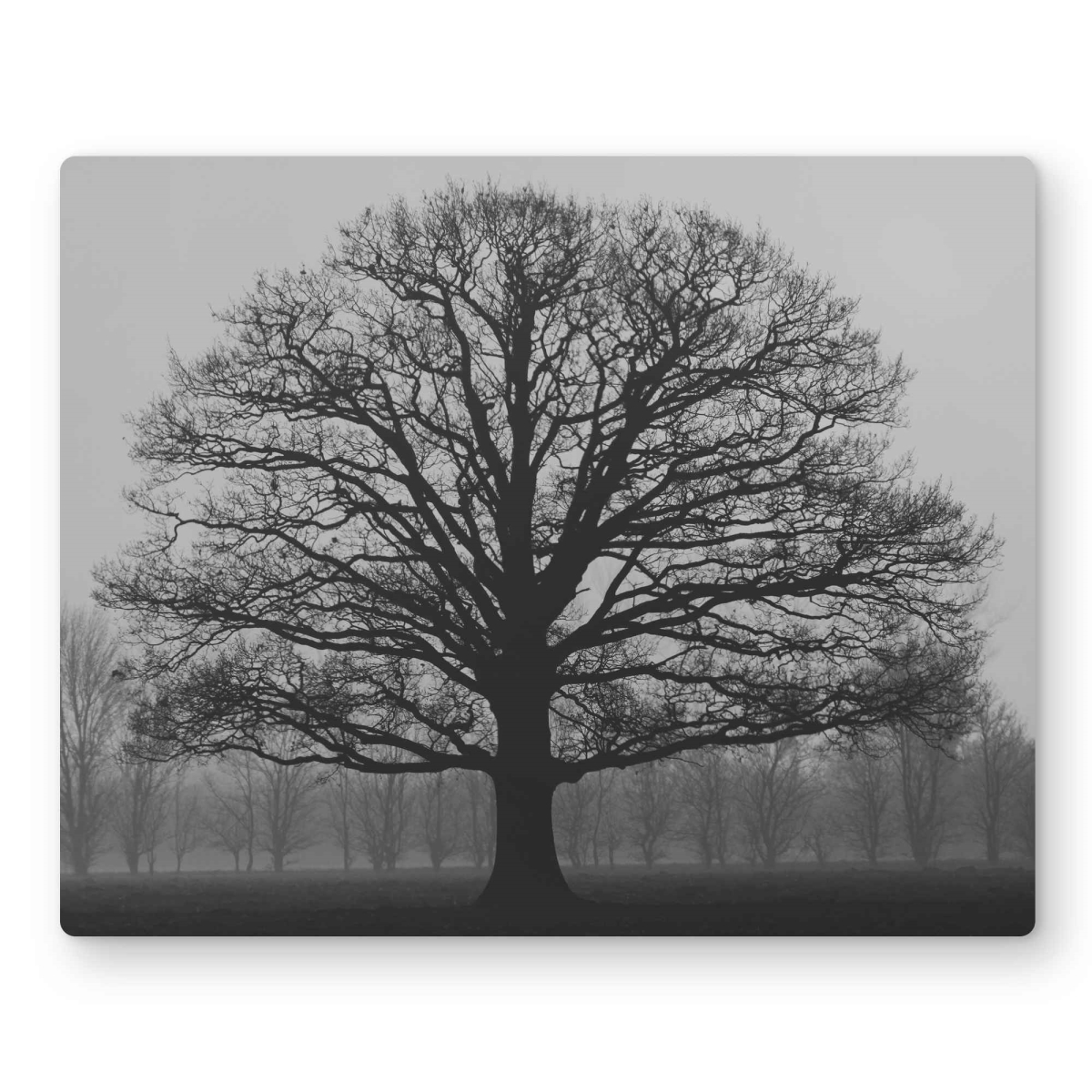 C1MP16209YK7Z4 16 x 20 in. Ominous Tree - Beige Metal Print Wall Art for Home Decor - Unique Art