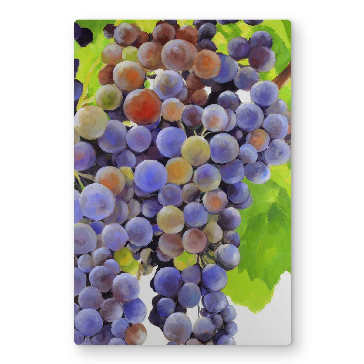 C1MP24362WPZ2I 24 x 36 in. Bunch of Grapes Wall Art - Still Life Kitchen Metal Print