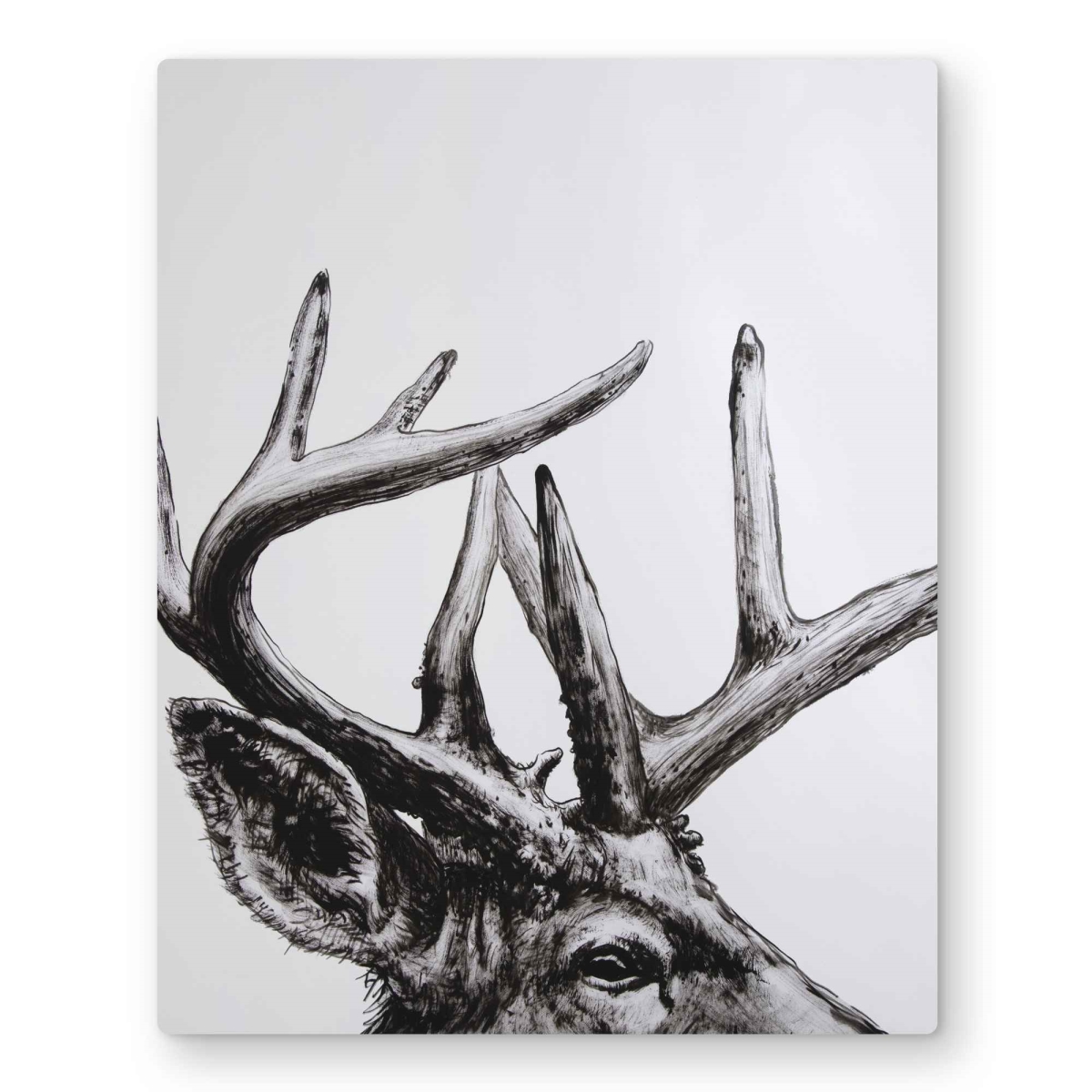 C1MP1620GDBE8H 16 x 20 in. Roe Deer Plume Wall Art - Livingroom Wildlife Metal Print